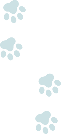 common-bg-pawpads2