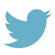 footer-twitter-icon