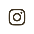 icon-instagram